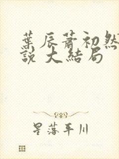 叶辰萧初然 小说 大结局