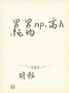 男男np,高h,纯肉