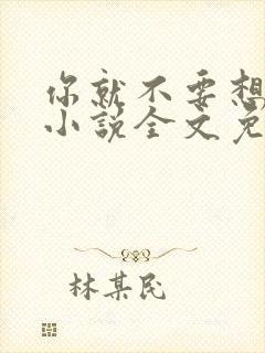 你就不要想起我小说全文免费阅读