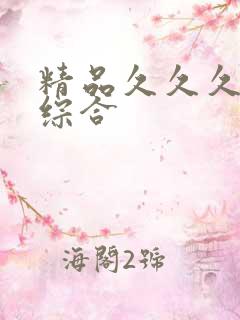 精品久久久久久综合