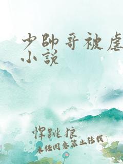 少帅哥被虐榨精小说