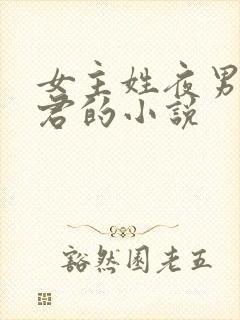 女主姓夜男主姓君的小说