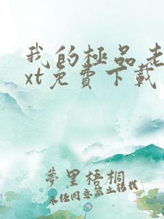 我的极品老婆txt免费下载