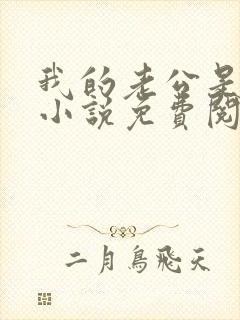 我的老公是酷哥小说免费阅读全文