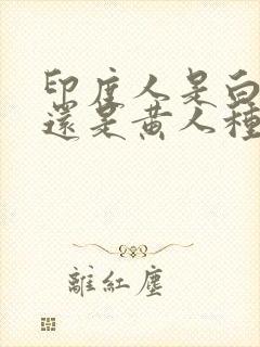 印度人是白人种还是黄人种