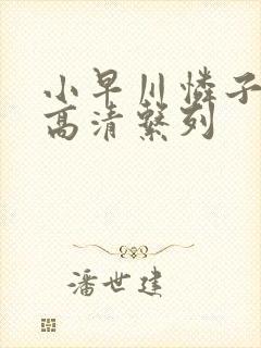 小早川怜子av高清系列