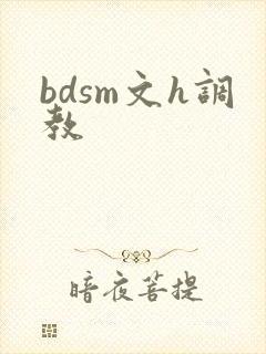 bdsm文h调教
