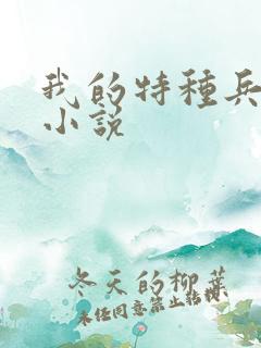 我的特种兵男友小说