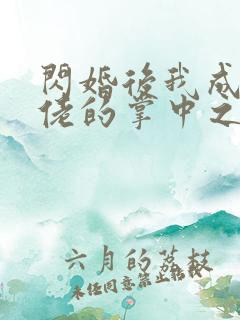 闪婚后我成了大佬的掌中之物免费