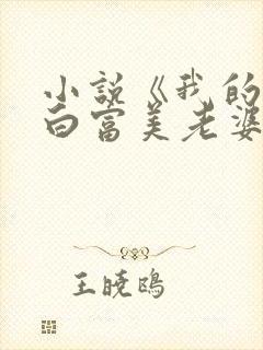 小说《我的总裁白富美老婆》