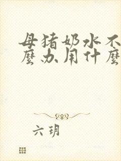 母猪奶水不好怎么办用什么办法