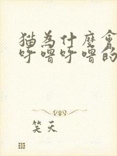 猫为什么会发出呼噜呼噜的声音然后还舔人