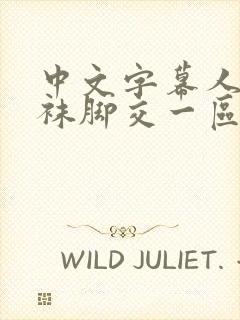 中文字幕人妻丝袜脚交一区三区