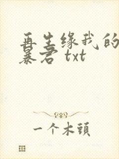 再生缘我的温柔暴君 txt