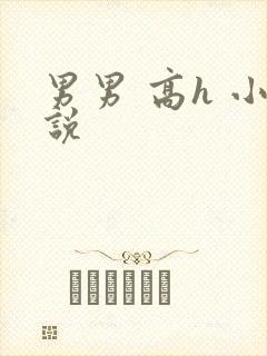 男男 高h 小说