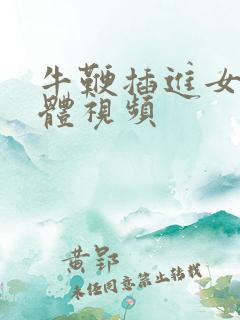 牛鞭插进女人下体视频