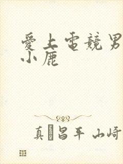 爱上电竞男神林小鹿