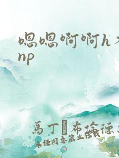 嗯嗯啊啊h不要np