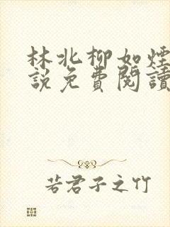 林北柳如烟的小说免费阅读