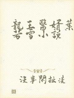 龙王医婿叶凡唐若雪小说