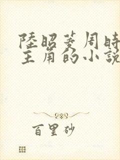 陆昭菱周时阅为主角的小说