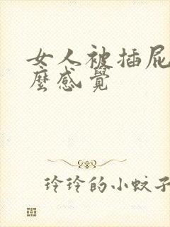 女人被插屁眼什么感觉