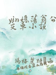 yin媳荡翁公交车小说
