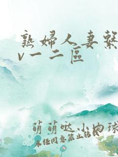 熟妇人妻系列av一二区