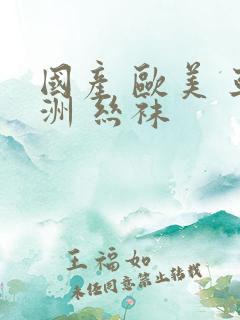 国产 欧美 亚洲 丝袜