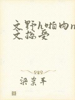 文野h啪肉np文总受