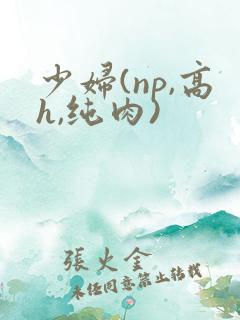 少妇(np,高h,纯肉)