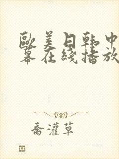 欧美日韩中文字幕在线播放