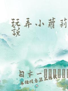 玩弄小萝莉的小说