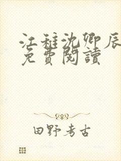 江稚沈卿辰全文免费阅读