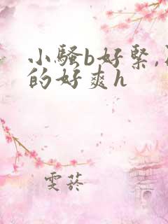 小骚b好紧,日的好爽h