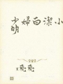 少妇白洁小说李明