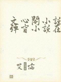 文心阁小说_无弹窗小说在线免费阅读