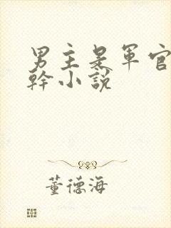 男主是军官的高干小说