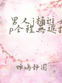 男人j桶进女人p全程无遮挡