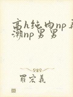 高h纯肉np弄潮np男男