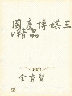 国产传媒三级av精品