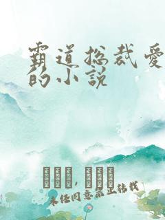 霸道总裁爱吃醋的小说