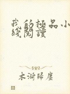 我的极品小姨在线阅读