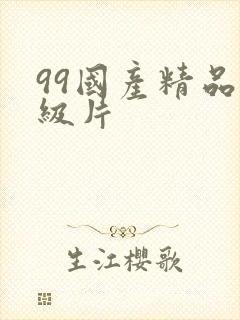 99国产精品一级片