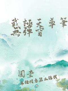 武极天尊笔趣阁无弹窗