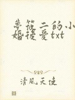 梦筱二的小说先婚后爱txt