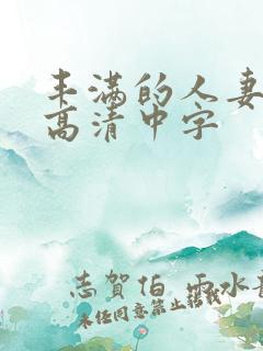 丰满的人妻hd高清中字