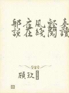 那夜风轻秦岚小说在线阅读免费全文