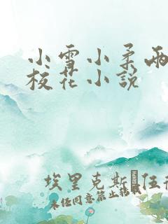 小雪小柔两个大校花小说