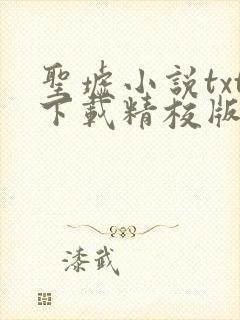 圣墟小说txt下载精校版